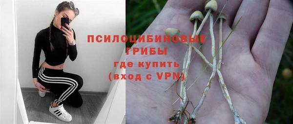 тгк Богданович