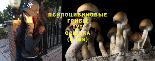 тгк Богданович