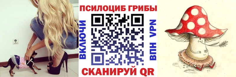 наркота  Бирюсинск  Галлюциногенные грибы Magic Shrooms 